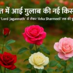गुलाब की नई किस्में , गुलाब की नई किस्में ,
